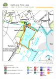 The new forest eight acre pond walking route
